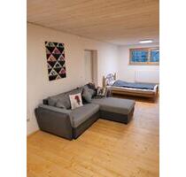 Kellerwohnung - 550,00 EUR Kaltmiete, ca.  40,00 m² in Schramberg (PLZ: 78713)