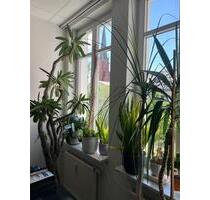 103 qm !! Moderne Wohnung in Altenburg mit Aufzug !! (Bj. 1995)