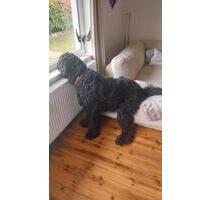 Alarmanlage - 1.500,00&nbsp;EUR Kaltmiete, ca.&nbsp; 80,00&nbsp;m&sup2; in Eutin (PLZ: 23701)