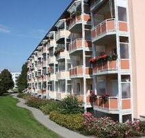 Neue Wohnung - Neue Nachbarn - 