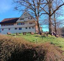 Große Wohnung im Bauernhaus mit Garten & Panoramablick - Alpirsbach