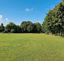 Pacht Pferde Reitanlage Büdelsdorf Box Stall Reitplatz Koppel - Westerrönfeld