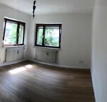 Neu renovierte, helle 3 Zimmer EG Wohnung mit Terrasse und Garten - Bad Berneck im Fichtelgebirge