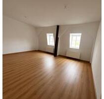 Großzügige 1-Zimmer-Wohnung frisch renoviert mit Traumblick - Merseburg