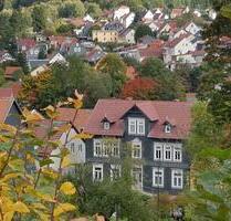 2 Zimmer-Whg. in MartinrodaIlmenau mit Dachterrasse
