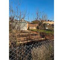 Kleingarten Wurzen mit massiver Gartenlaube