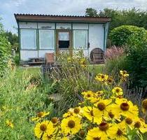 Pachtgarten mit Laube in Finsterwalde abzugeben