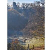 Ferienwohnung mit Blick in die Natur! - Würselen