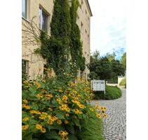 5-Raum-Wohnung m. großem SW-Balkon, FbH, GarageStellpl. - Limbach-Oberfrohna