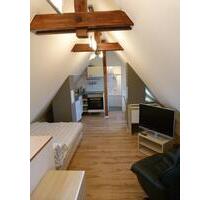 Modern möbliertes Appartement über den Dächern von Cannstatt - Stuttgart Bad Cannstatt