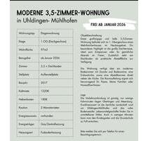 3,5 Zimmer Wohnung zur Miete - 1.400,00 EUR Kaltmiete, ca.  97,00 m² in Uhldingen-Mühlhofen (PLZ: 88690)