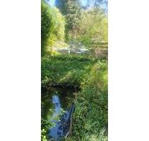 Naturnaher Kleingarten in Dresden-Coschütz zu verpachten