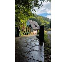 Forsthaus Frechental an der Helmbach - Elmstein