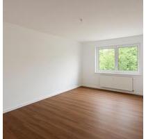 Kernsanierte 3 Zimmer Wohnung in Lu Süd - Ludwigshafen am Rhein Parkinsel