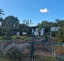 Kleingarten in KGA Weiße Rose Südstadt - Papendorf