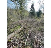 Grundstück - 6.000,00 EUR Kaltmiete, ca.  0,00 m² in Ahlsdorf (PLZ: 06313)