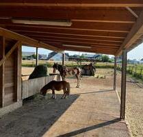 Wohnen mit Pferd - 350,00 EUR Kaltmiete, ca.  63,00 m² in Kastellaun (PLZ: 56288)
