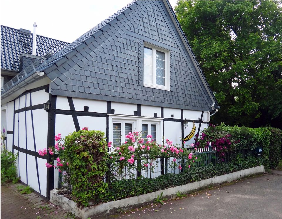 möblierte Wohnung - 785,00 EUR Kaltmiete, ca.  50,00 m² in Leverkusen (PLZ: 51381) Bergisch Neukirchen