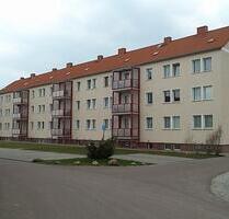 Helle Erdgeschoss-Wohnung mit ebenerdiger Dusche - Nienburg (Saale)