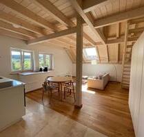 Moderne 1-Zimmer-Wohnung im Grünen – Nachhaltig und stilvoll - Oberscheinfeld