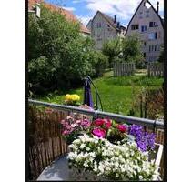 Schmuckstück, moderne 3,5 ZW, EBK, Balkon,Garten Stuttgart BC - Fellbach Oeffingen