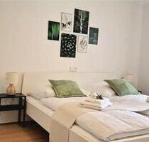 Haus zu Verkaufen Airbnb laufendes Geschäft - Beuren