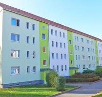 Klein und gemütlich - frisch für Sie renoviert - Limbach-Oberfrohna