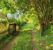 Natur pur: Wohngebäude, Bauplatz, 5ha Wald im Saarland- Beckingen