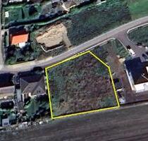 Traumhaftes Filetgrundstück am Geiseltalsee – 1.683 m² in Toplage - Braunsbedra