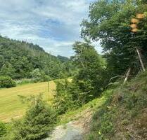 Erstbezug nach Sanierung - 3 Zimmer-Bad-Terrasse - Wissen