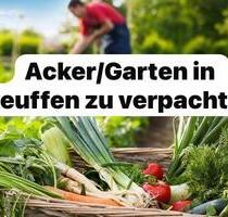Acker Garten Beet Gemüseanbau Hobbygarten Selbstversorgung - Neuffen