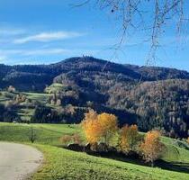 Ferienwohnung Süd. Schwarzwald !! Ruhige Lage - Zell im Wiesental