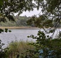 Naturparadies mit Charme und Charakter – in 2 Min zum See gehen! - Neuzelle