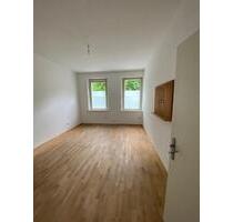 Geräumige 3-Zimmer-Wohnung in Rednitznähe - Fürth Altstadt
