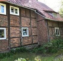Großes Grundstück mit Haus - 130.000,00 EUR Kaufpreis, in Lügde (PLZ: 32676)