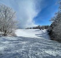 Ferienwohnung Harz Braunlage Hohegeiß - Hund - Schwimmbad - Sauna