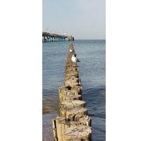 Ostsee Boltenhagen Urlaub Sommer Ferienwohnung Strand