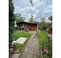 Schrebergarten mit Laube & Obstbäumen zu vergeben – ca. 300 m² - Cottbus