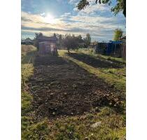 Pacht Garten - 300,00 EUR Kaltmiete, ca.  0,00 m² in Weißensee (PLZ: 99631)