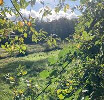 Backstein-Bungalow, Naturblick, effizienzsaniert, 1275 € warm - Meppen