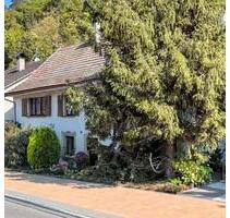 [OHNE PROVISION] Sanierungshaus zum Traumobjekt - Waldshut-Tiengen