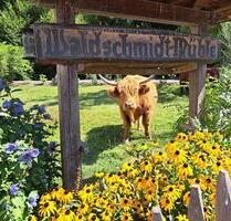Wohnen im Dörsbachtal - 520,00 EUR Kaltmiete, in Holzhausen an der Haide (PLZ: 56357)