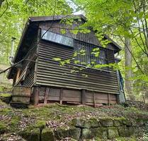 Freizeitgrundstück mit Waldhütte und Erdkeller - Luhe-Wildenau