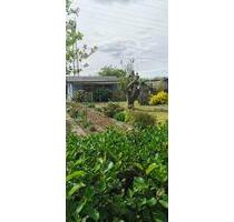 Kleingarten Anlage Reutershagen - Rostock Hansaviertel