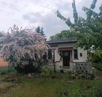 Schrebergarten abzugeben - 700,00 EUR Kaltmiete, ca.  0,00 m² in Wittenberg Lutherstadt (PLZ: 06886)