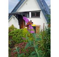 Ferienhaus - 180.000,00 EUR Kaufpreis, in Ortenberg (PLZ: 63683)