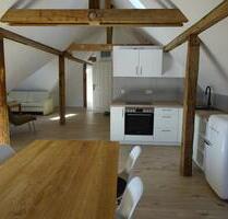 Möbliertes Designer DG-Loft alles inkl. und löffelfertig - Wiesbaden Biebrich