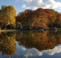 Wohnen am Park mit Weitblick - 710,00 EUR Kaltmiete, ca.  78,00 m² in Dortmund (PLZ: 44225) Hombruch