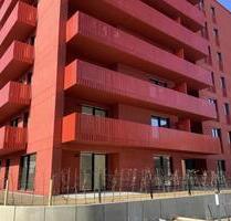 3-Zimmer-Wohnung in Bonn Endenich ( Neubau )