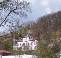 Große, sonnige 3-Raum Dachgeschoßwohnung - Eisenach